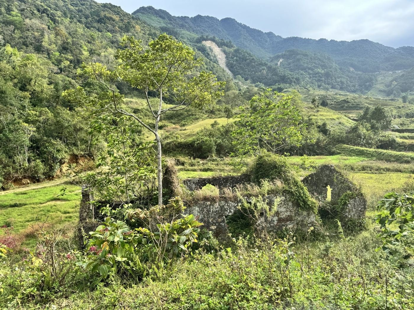 北部ベトナムの山肌に広がる畑と集落